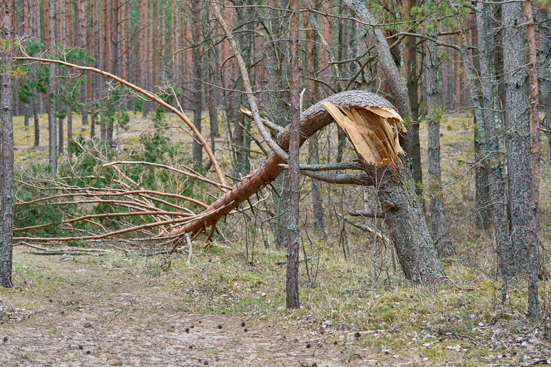 Quarterly Red Flag/High Wind Warnings 